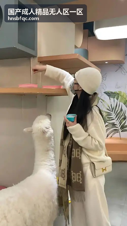 国产成人精品无人区一区介绍
